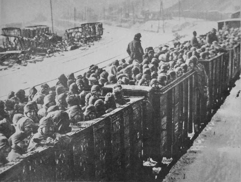 Пленные красноармейцы в открытых товарных вагонах в районе Брянска. Ноябрь 1941 г.