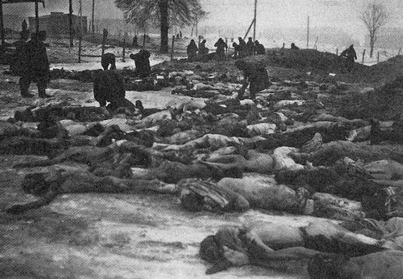 Умершие военнопленные в Дулаге-184 на Кронштадской улице. Вязьма, ноябрь 1941 г.
