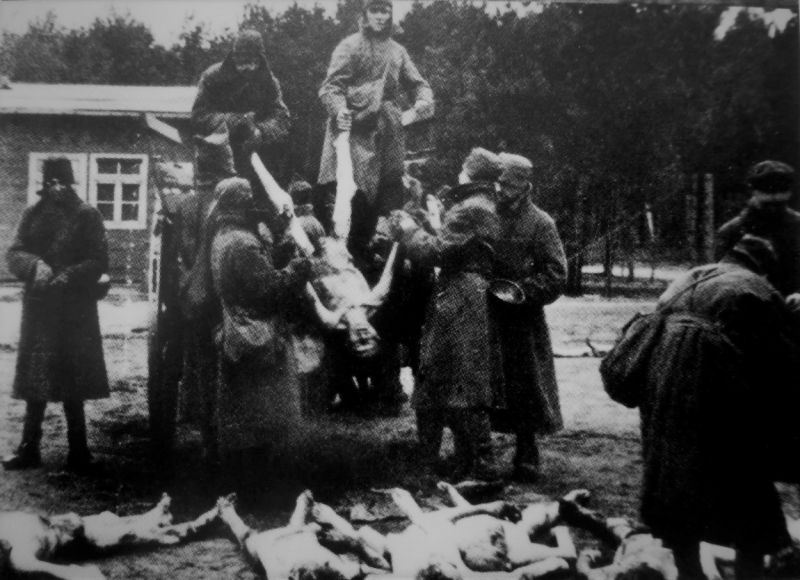 Погрузка на повозку тел советских военнопленных, умерших в лагере Stalag XI C в Берген-Бельзене. 1942 г. 