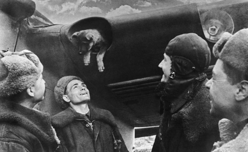 Советские летчики со щенком у бомбардировщика Пе-2 на аэродроме Москвы. 1944 г. 