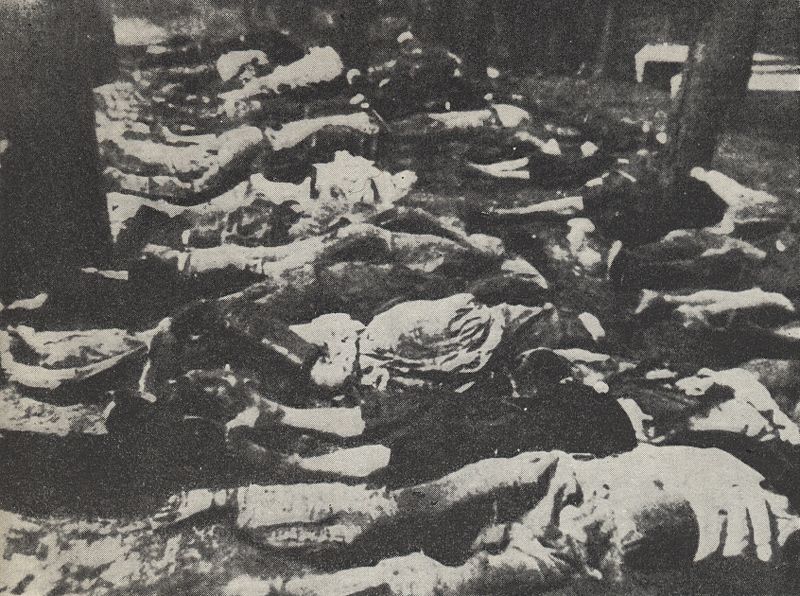 Жертвы резни в селе Сочи.