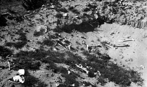 Захоронение в Треблинке после раскопок копателей. Лето 1945 г. 
