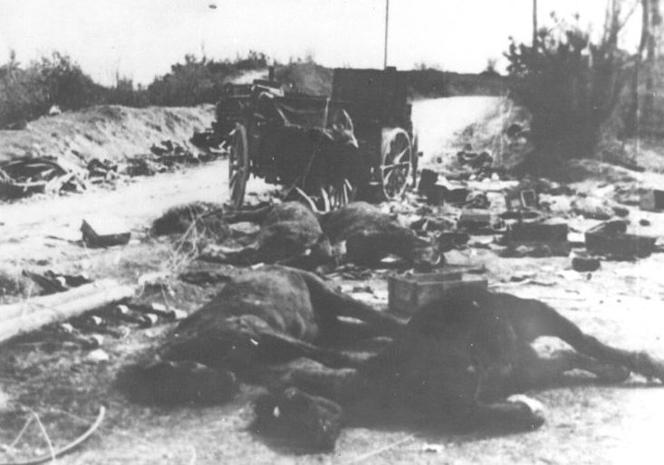 Разбитый немецкий обоз после боев к северу от Сараево. 