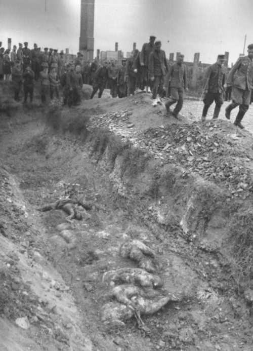 Немецких военнопленных проводят по концлагерю Майданек. Июль 1944 г.