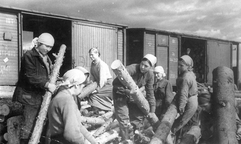 Заготовка дров. Ленинград, 1941 г.