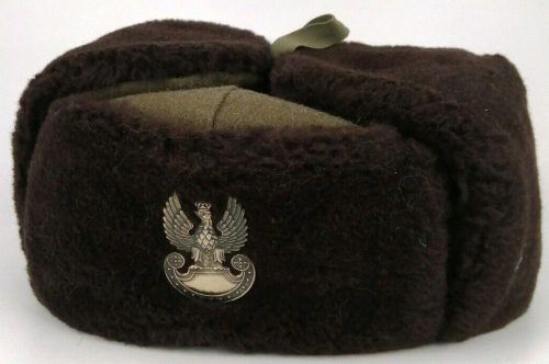 Меховая зимняя шапка военнослужащего ВМС.