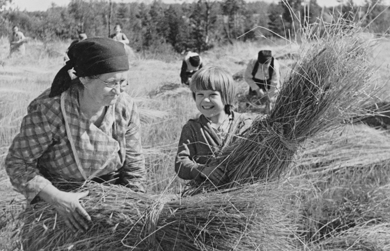 Женщины-колхозницы. 1944 г. 