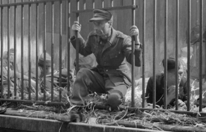 Немецкие военнопленные в Антверпене запертые в клетках зоопарка. 1944 г.