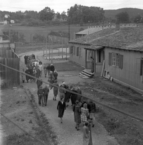 Немецкие девушки в тюрьме Бредтвейт для содержания норвежских женщин, сожительствующих с немецкими солдатами. Июнь 1945 г.