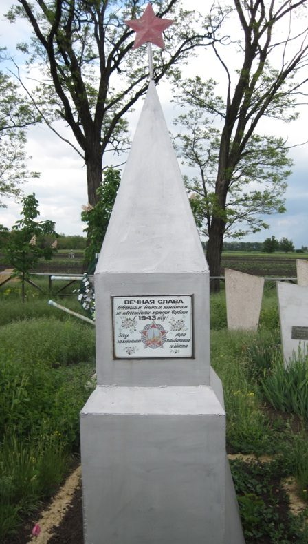 с. Коханое Токмакского р-на. Братская могила на кладбище, в которой похоронено 3 советских воина, погибших при освобождении села.