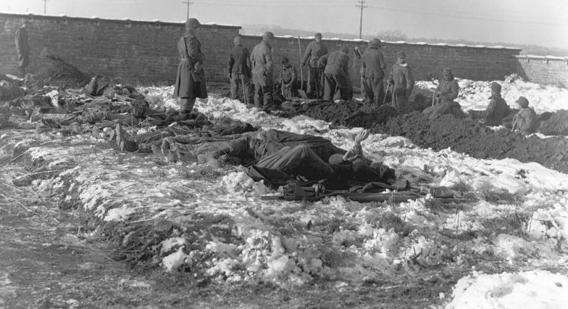 Немецкие военнопленные роют могилы бойцам 101-й воздушно-десантной дивизии, погибшим при защите Бастони. Декабрь 1944 г.
