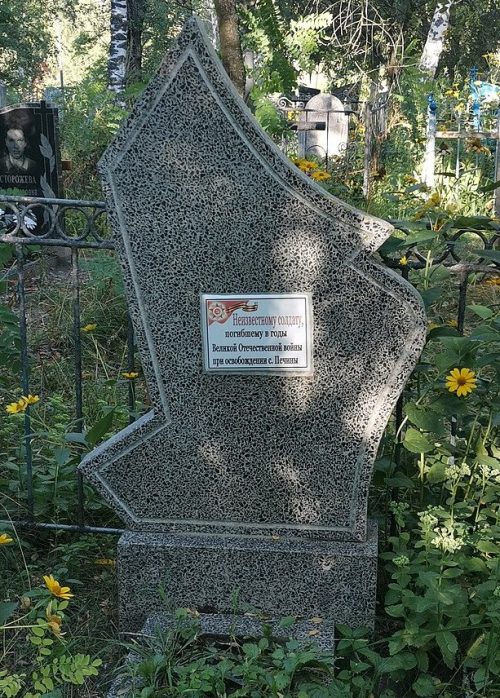 с. Печины Тростянецкого р-на. Могила советского воина на кладбище.