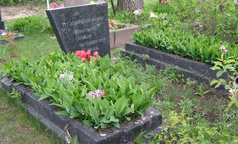 с. Макаровка Бобровицкого р-на. Братская могила двух воинов, погибших при освобождении села. 