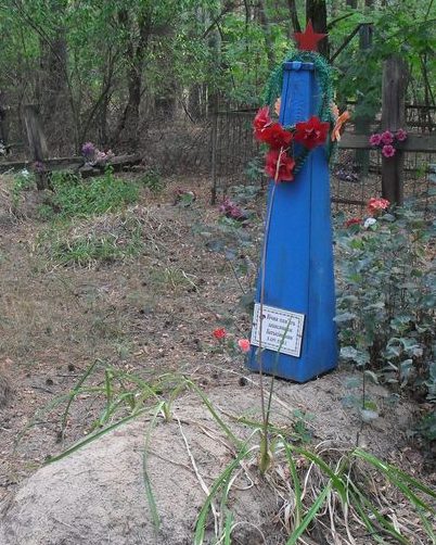 с. Васильковщина Кролевецкого р-на. Братские могилы советских воинов, погибших при обороне села 3 сентября 1941 года. 