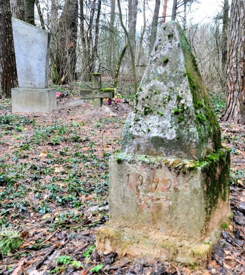 с. Савинки Корюковского р-на. Группа братских могил на старом кладбище.