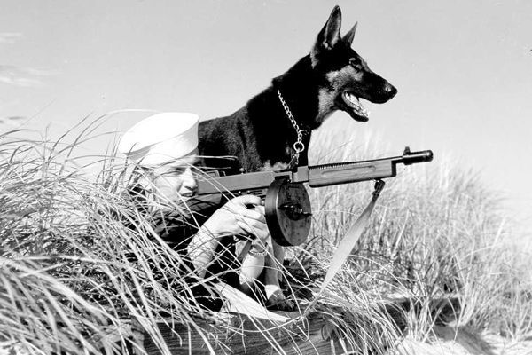 Патруль береговой охраны с собаками. 1941 г. 