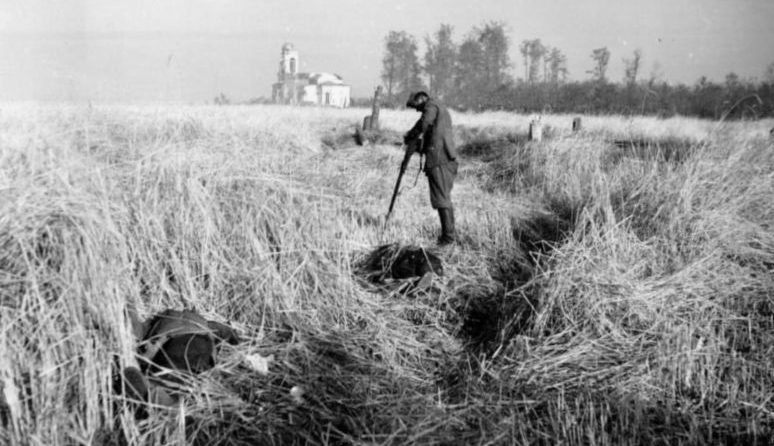 Погибшие бойцы 1-й дивизии народного ополчения в деревне Большие Угороды. Август 1941 г.