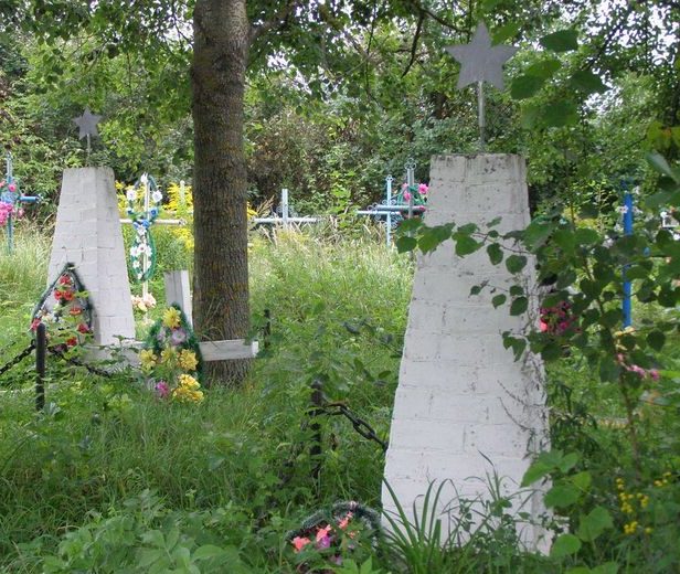с. Салтыкова Девица Куликовского р-на. Братские могилы неизвестных воинов, погибших и умерших от ран в 1941 году.