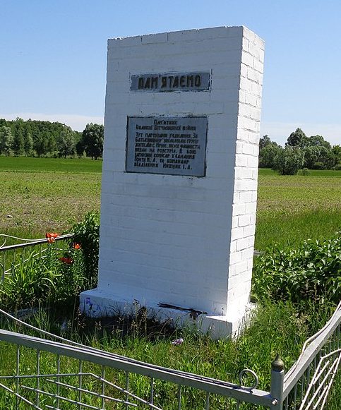 с. Мрин Носовского р-на. Памятный знак на месте боевой операции партизан. 