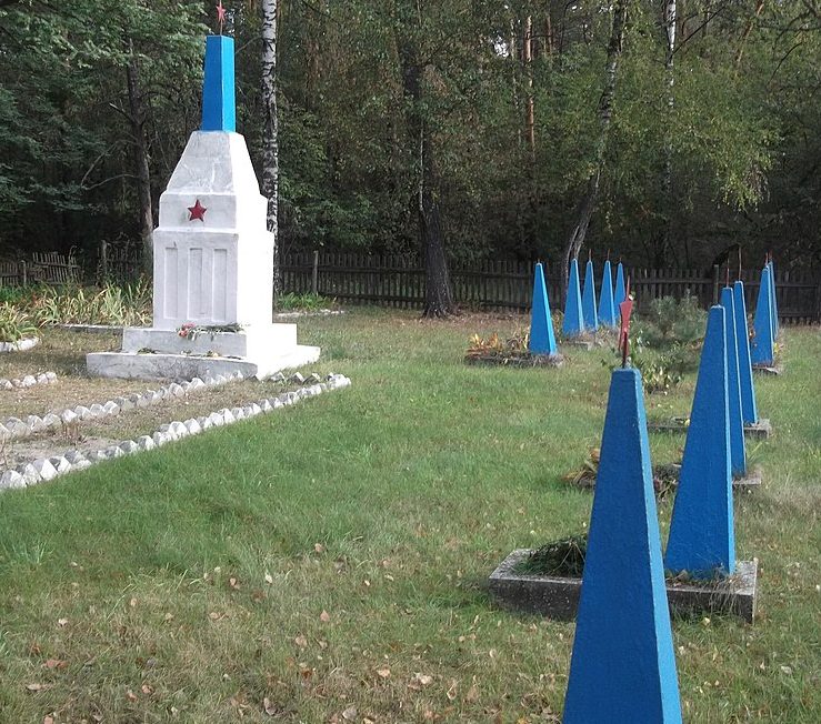 п. Макошино Менского р-на. Группа могил воинов, погибших в боях за поселок в годы войны.