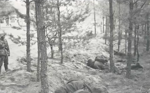 Погибшие польские солдаты. Сентябрь 1939 г. 