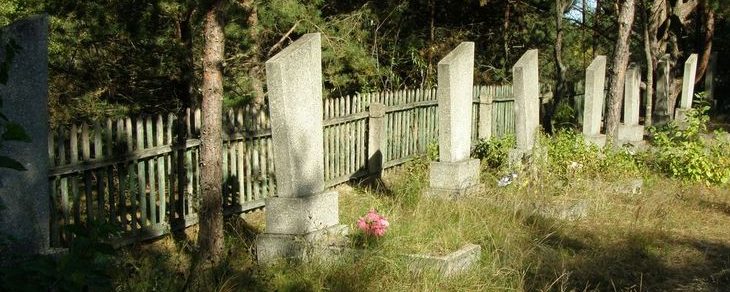 п. Радуль Репкинского р-на. Братские могилы воинов, погибших при форсировании Днепра и в боях на плацдарме. 