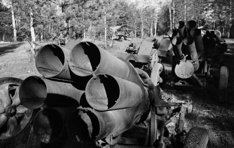 Сборный пункт трофейных немецких артиллерийских систем в лесном массиве. 1944 г. 