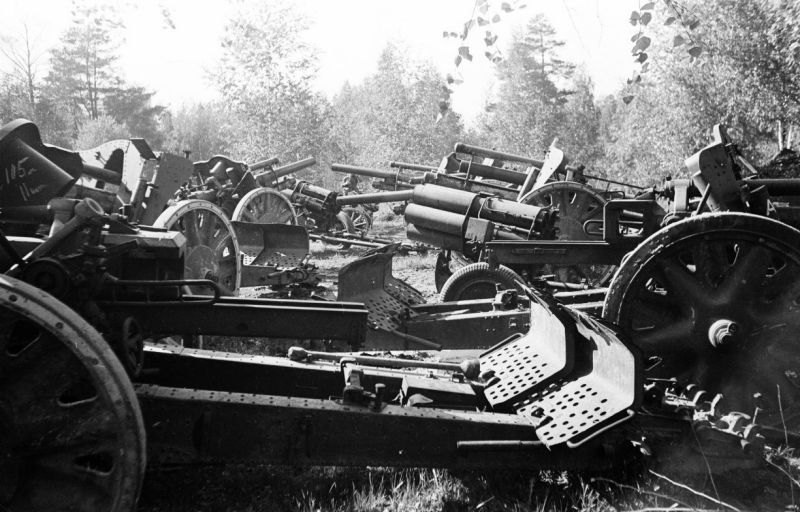 Сборный пункт трофейных немецких артиллерийских систем в лесном массиве. 1944 г. 