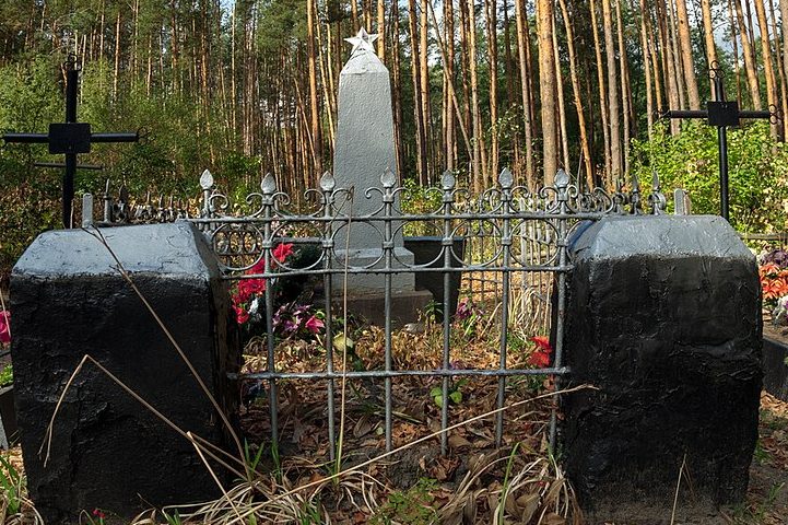 с. Вишневое Житомирского р-на. Братская могила 8 советских воинов. 