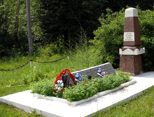 д. Башово Локнянского р-на. Братская могила советских воинов. 