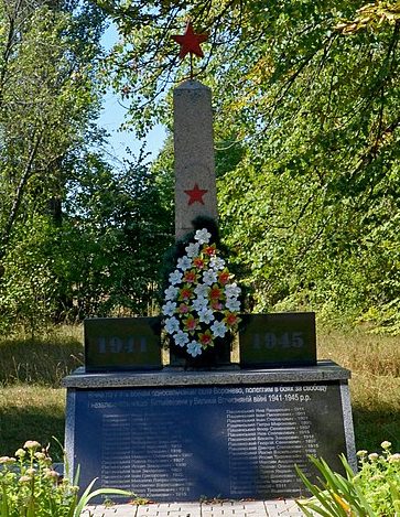 с. Воронево Коростенского р-на. Памятник воинам-односельчанам.