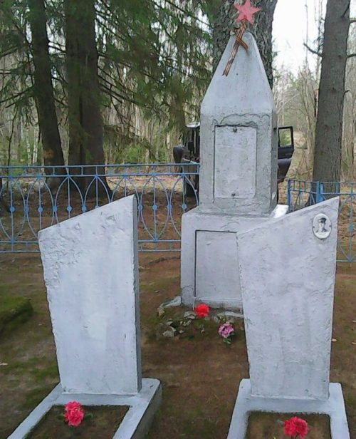 д. Авинище Невельского р-на. Братская могила советских воинов.