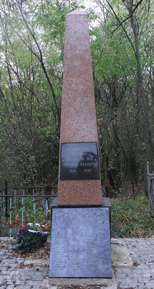 с. Высокое Брусиловского р-на. Братская могила, в которой похоронено 376 советских воинов.