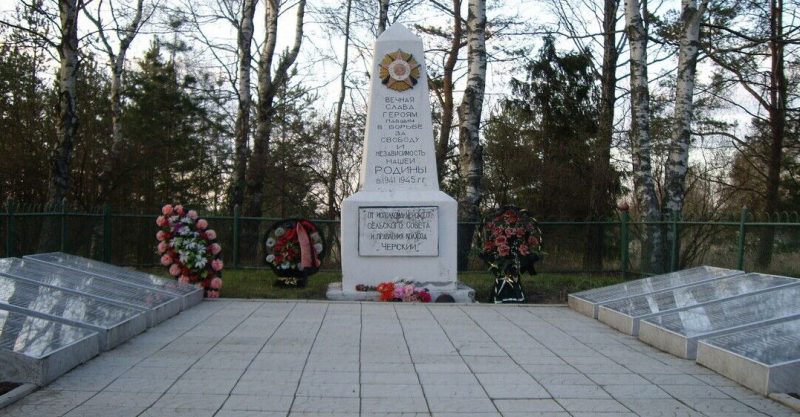 д. Усы Палкинского р-на. Памятник, установленный на братской могиле советских воинов.
