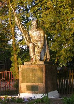  с. Рыхальское Емильчинского р-на. Памятник, установленный на братской могиле советских воинов.