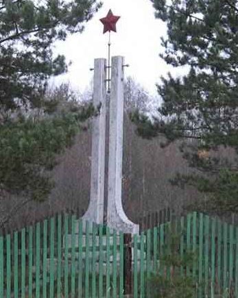 д. Зачеренье Стругокрасненского р-на. Памятник, установленный на братской могиле советских воинов. 