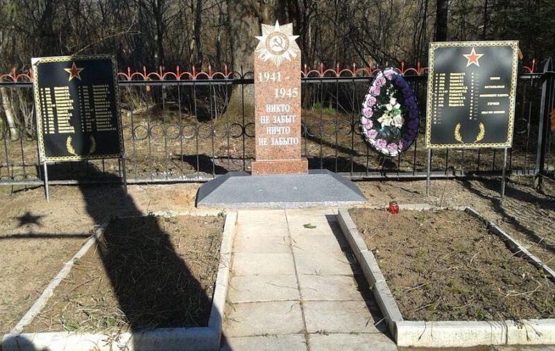 д. Костелево Стругокрасненского р-на. Братская могила советских воинов, погибших в 1944 году.
