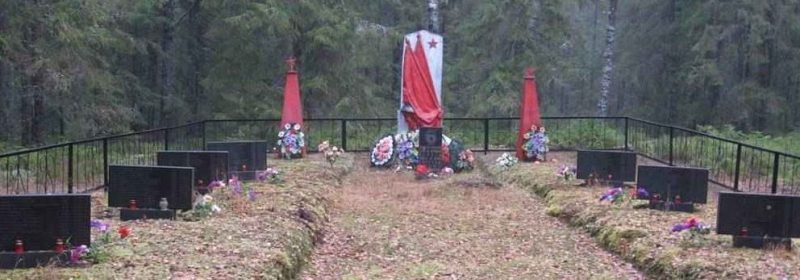 д. Щегли Стругокрасненского р-на. Братская могила советских воинов.