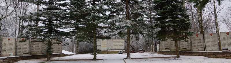 д. Маево Новосокольнического р-на. Братская могила советских воинов, погибших в 1944 году. Здесь же похоронен Герой Советского Союза Трофимов В.В.