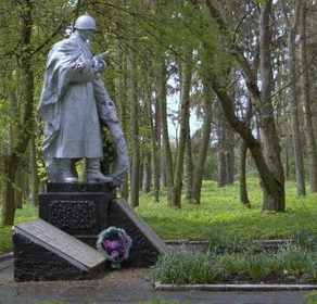 с. Новая Чертория Любарского р-на. Памятник, установленный на братской могиле советских воинов.
