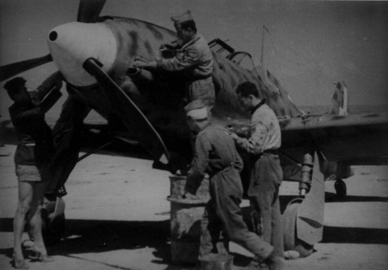 Техники обслуживают истребитель Macchi MC.202 «Folgore» в Северной Африке. Август 1942 г. 