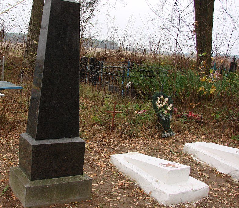с. Свидя Черняховского р-на. Братская могила 21 советского воина. 