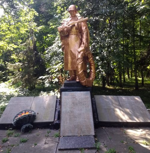 с. Турчиновка Чудновского р-на. Братская могила 65 советских воинов.
