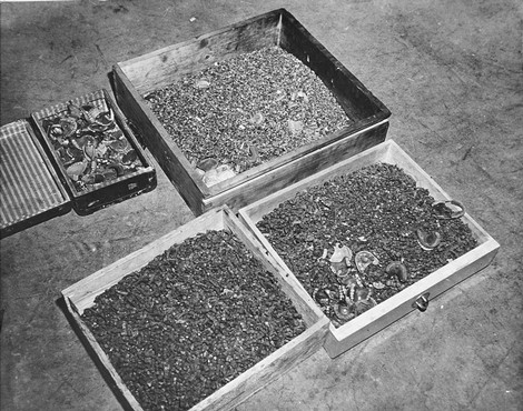 Короба с золотыми протезами и зубными коронками, изъятые у погибших заключенных концлагерей.