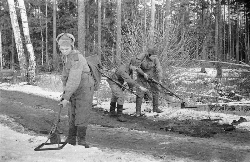 Разминирование лесной дороги. 1942 г. 