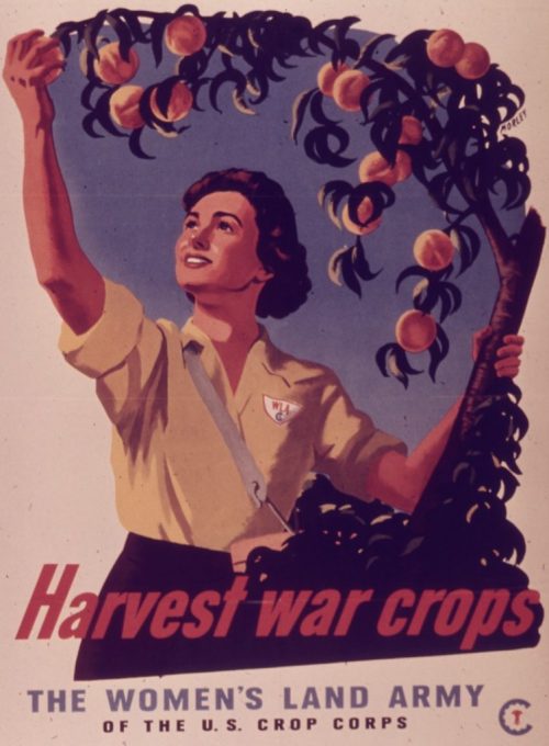 Агитационные плакаты WLA. 1944 г.