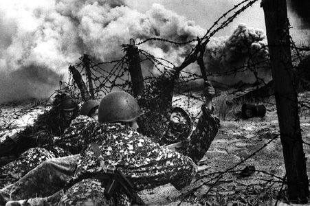 Саперы перерезают проволочное заграждение на Центральном фронте. Июнь 1943 г. 