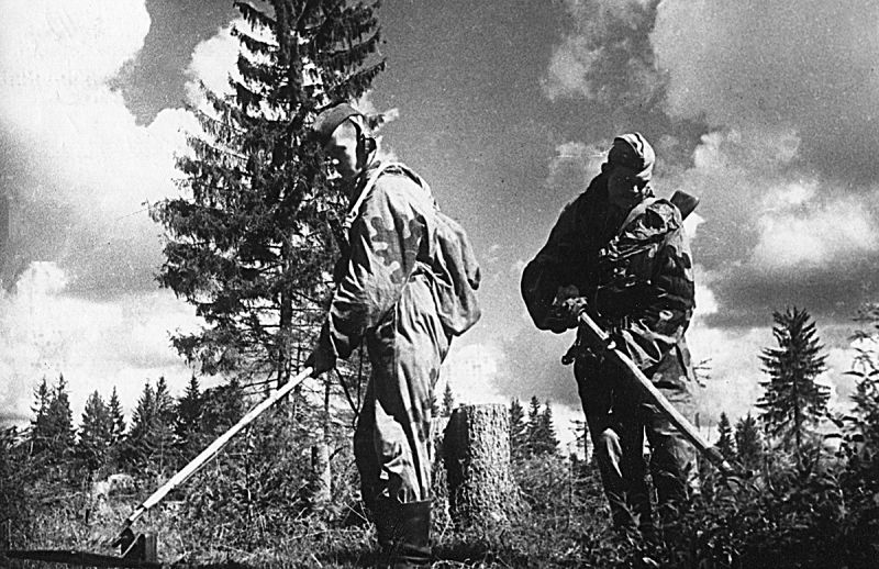 Саперы за разминированием местности на Смоленщине. Сентябрь 1943 г. 