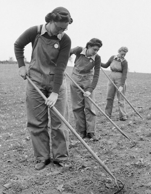 Женщины WLA на сельскохозяйственных работах.