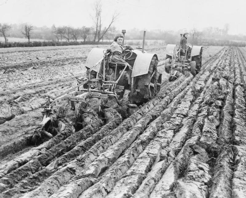 Женщины WLA на сельскохозяйственных работах.
